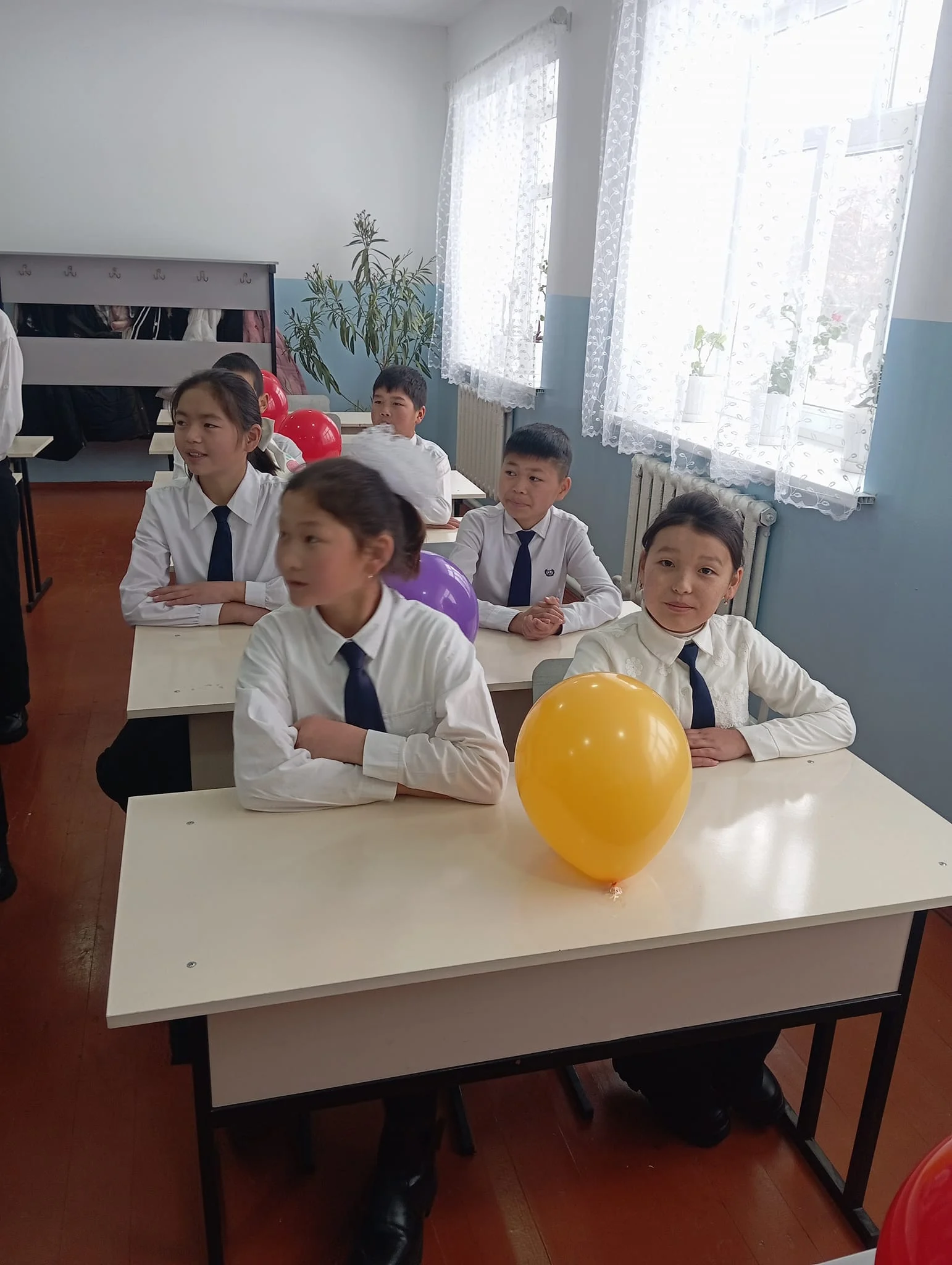 475850368 122171991860273536 3784513584783148240 n