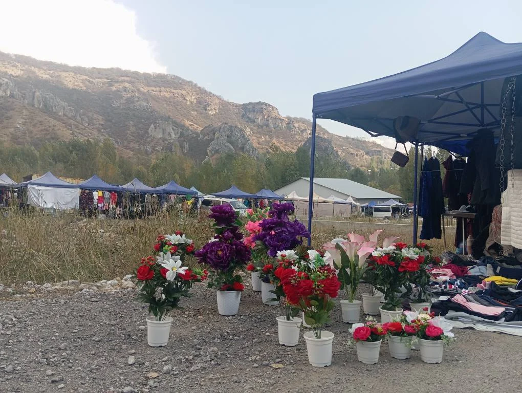 558105219 122213797088273536 5539229775055245855 n