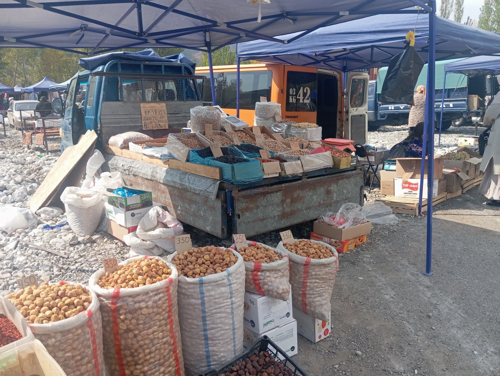 558871425 122213797778273536 363998869435665497 n